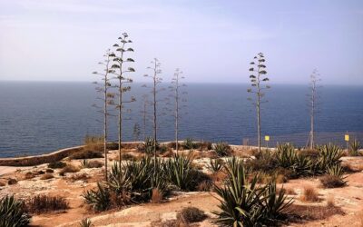 Low Growth – Your Route To Do More Than Just Survive