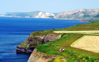 Aligning Objectives – Why It Is Important