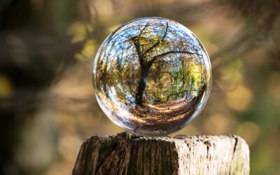 Getting that sale – it’s a mystery it happens