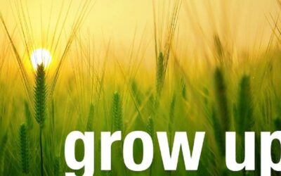 Want to scale? Don’t copy the big companies