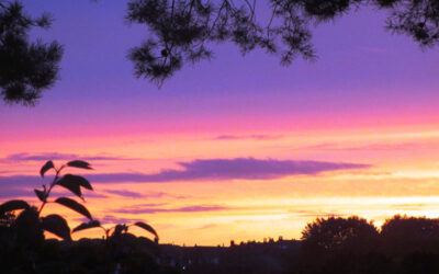 Planning for Sex and Death